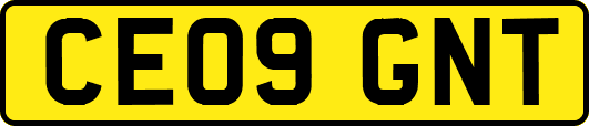 CE09GNT