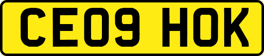 CE09HOK
