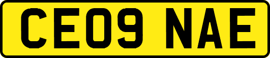 CE09NAE