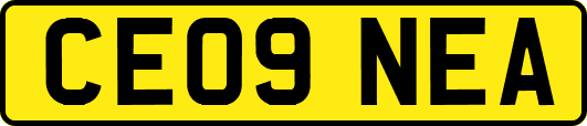 CE09NEA