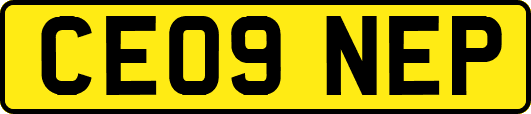 CE09NEP