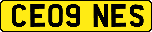 CE09NES