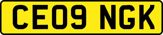 CE09NGK