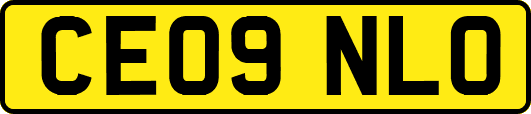 CE09NLO