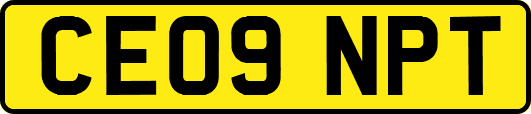 CE09NPT