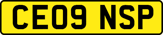 CE09NSP