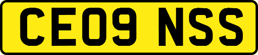 CE09NSS