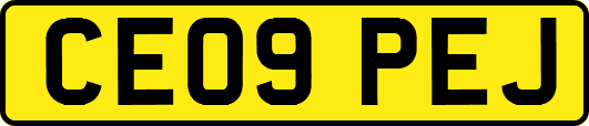 CE09PEJ