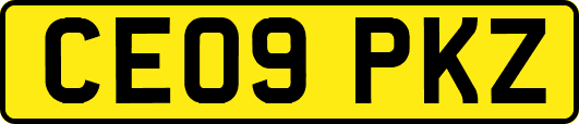 CE09PKZ