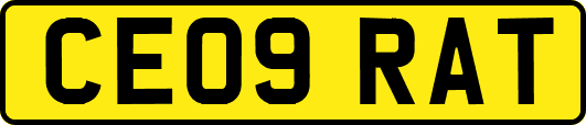 CE09RAT