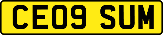 CE09SUM