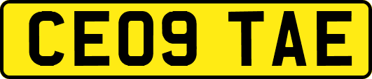 CE09TAE