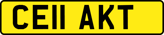 CE11AKT