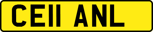 CE11ANL