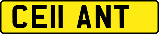 CE11ANT