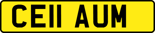 CE11AUM