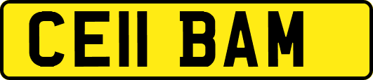 CE11BAM