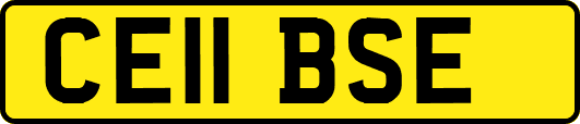 CE11BSE