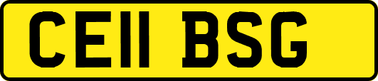 CE11BSG
