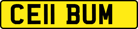 CE11BUM