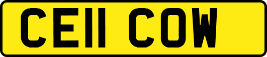CE11COW
