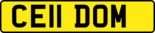 CE11DOM