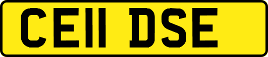 CE11DSE