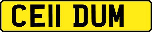 CE11DUM