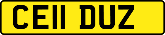 CE11DUZ