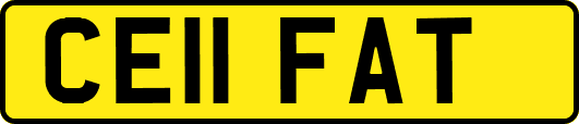 CE11FAT