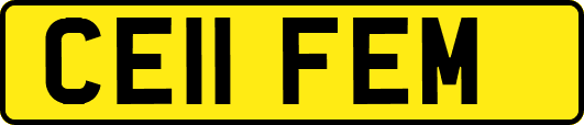 CE11FEM