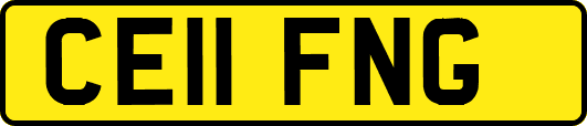 CE11FNG