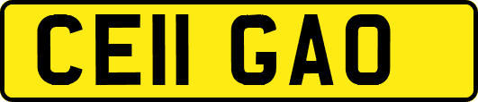 CE11GAO