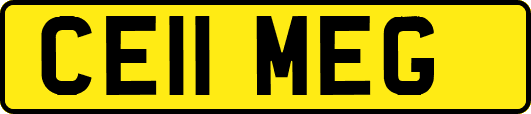 CE11MEG