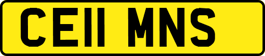 CE11MNS
