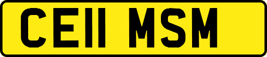 CE11MSM