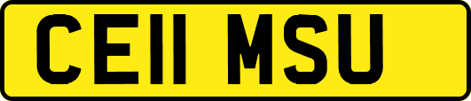 CE11MSU