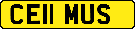 CE11MUS