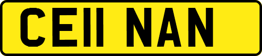 CE11NAN