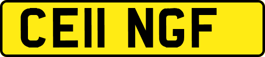 CE11NGF