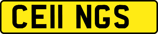 CE11NGS