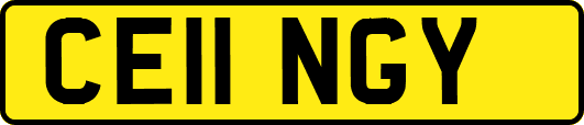 CE11NGY
