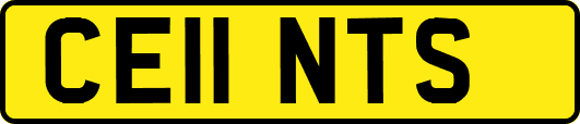 CE11NTS