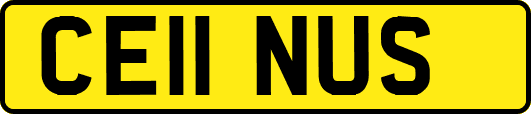 CE11NUS