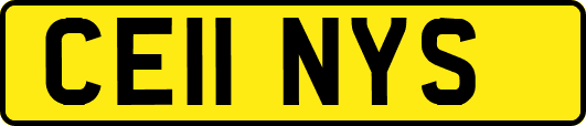 CE11NYS