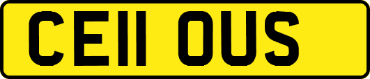 CE11OUS