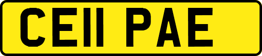 CE11PAE