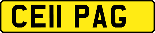 CE11PAG