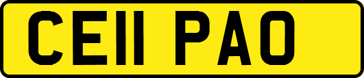 CE11PAO
