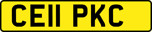 CE11PKC